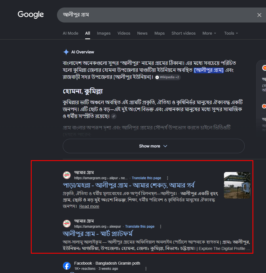 SEO Results